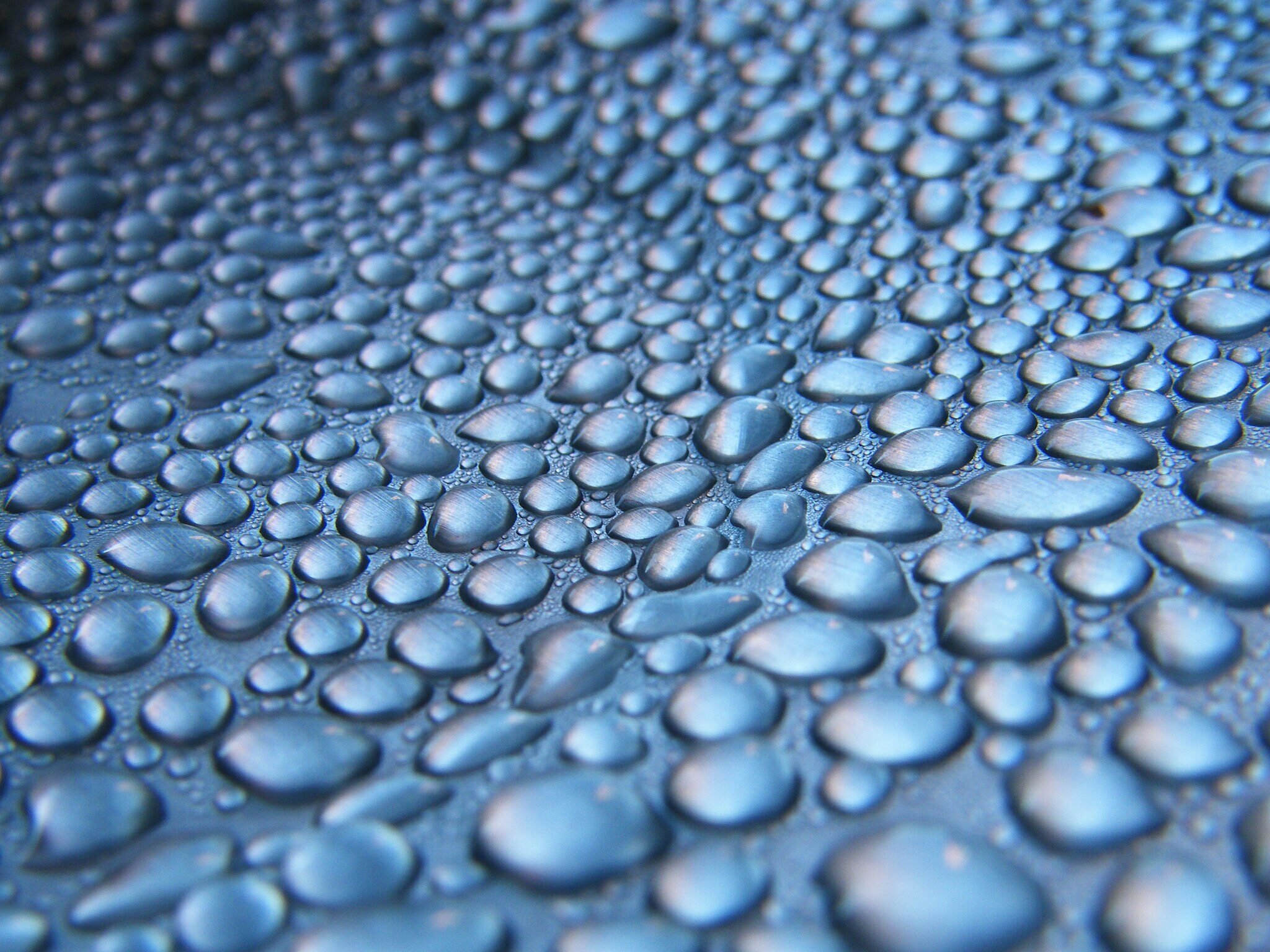 condensation that can attract water bugs