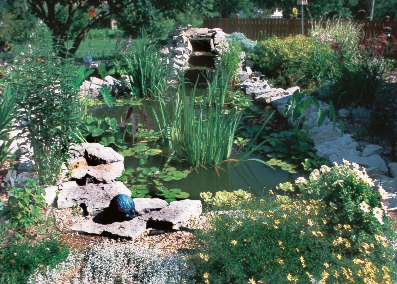 CC - Backyard Pond