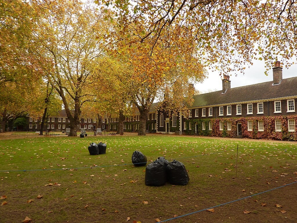 leaves that have been bagged