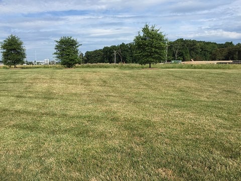 a drought stressed lawn can have brown spots