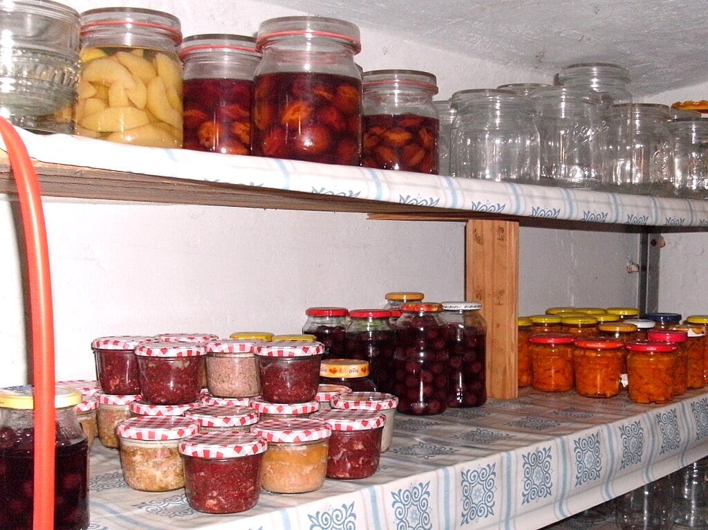 glass can be great bug proof storage