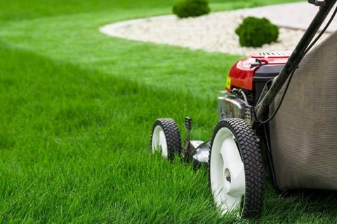mowing the lawn