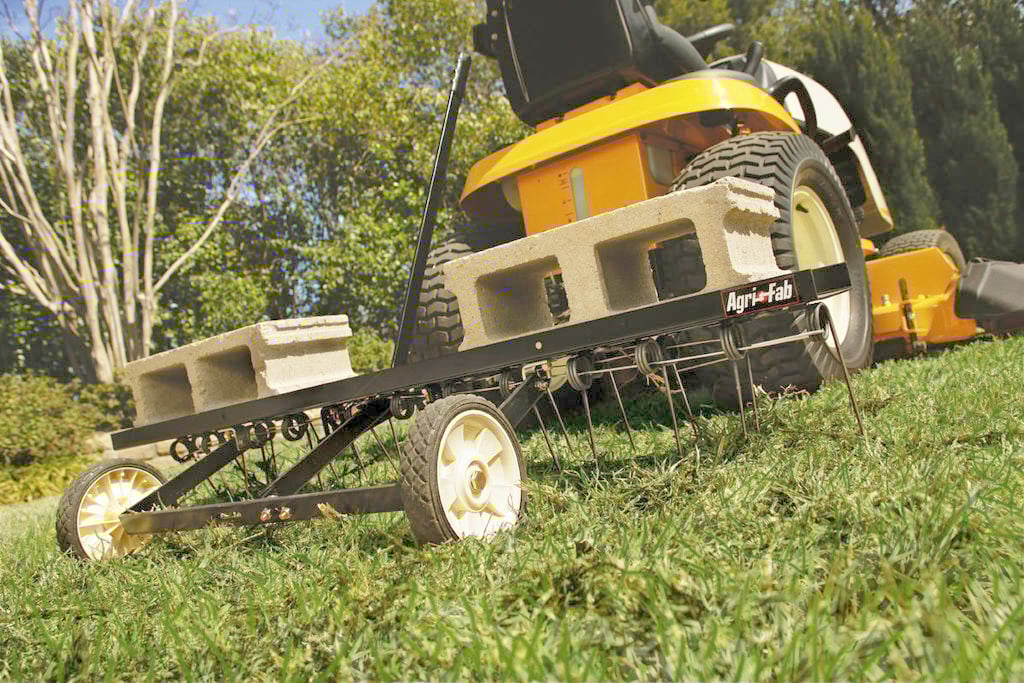 lighter metal tines or rakes can be effective at removing thatch