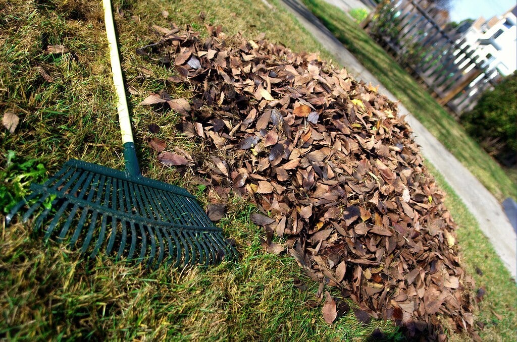 a pile of leaves next to a rake
