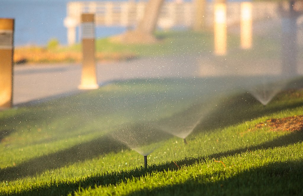 sprinkler heads water grass