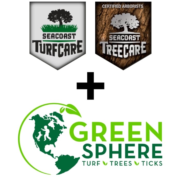 Seacoast x Green Sphere