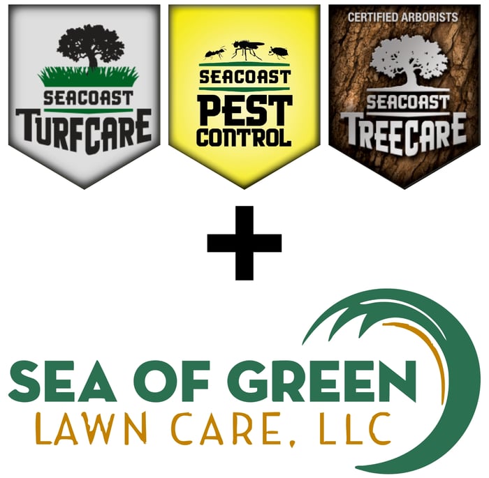 Seacoast x Sea of Green-1