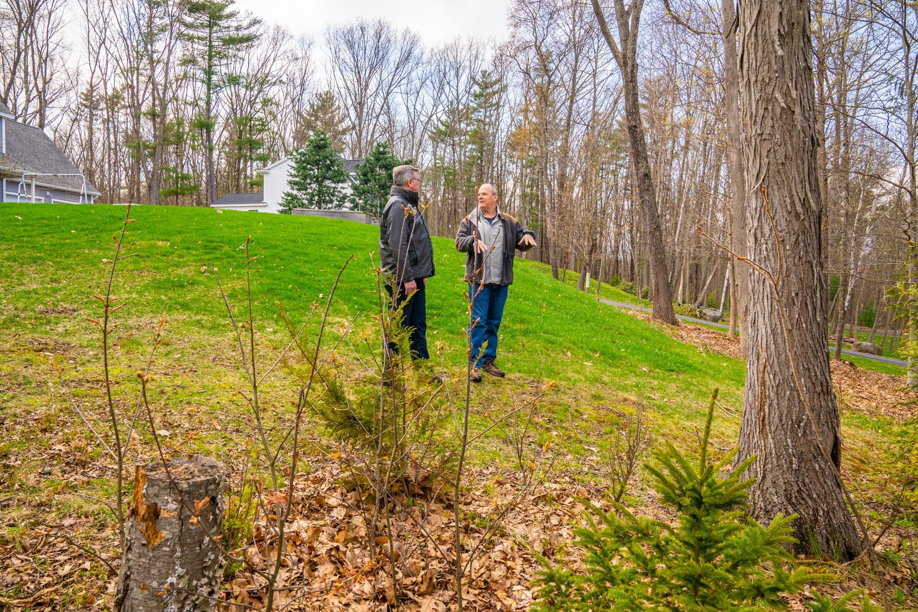 border areas are those where your manicured lawn meets a natural area like the woods or a meadow