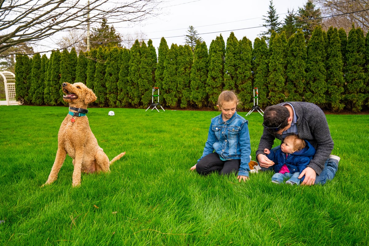 family and dog outside on grass