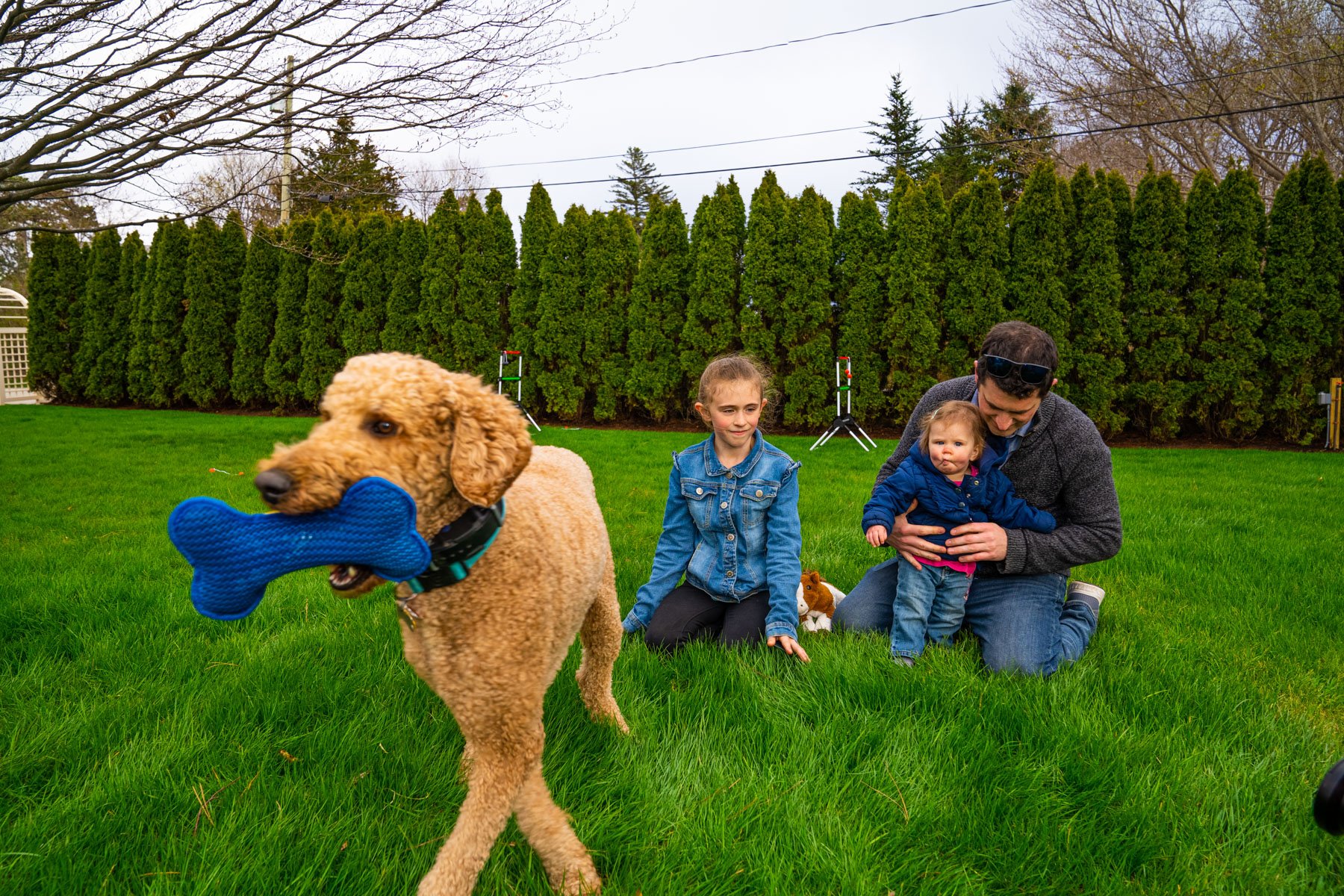 family enjoying a green fertilized lawn