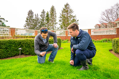 lawn care technician customer inspection 115