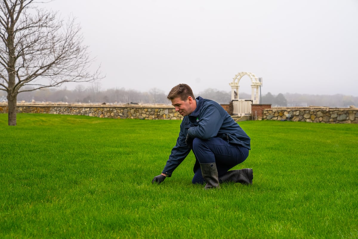 lawn care technician inspects grass