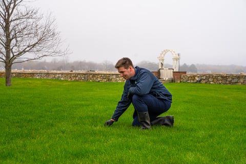 lawn care technician inspecting grass