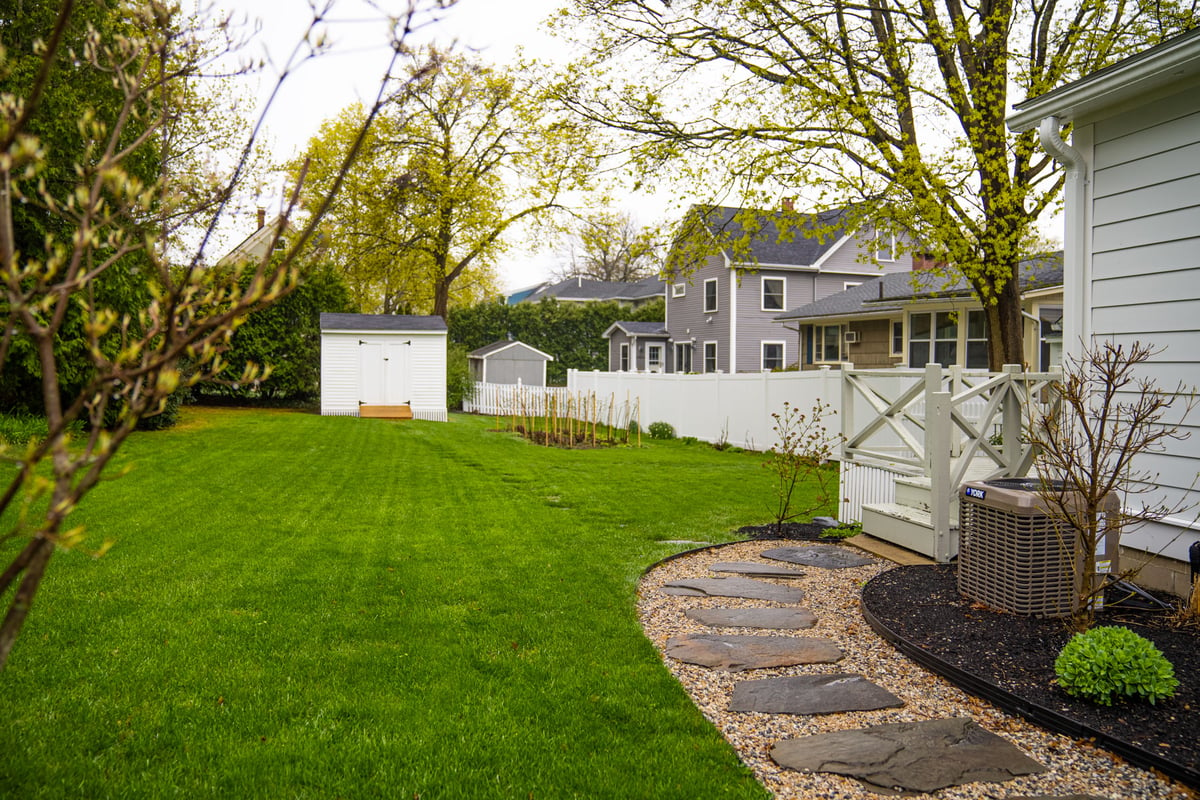 healthy green grass at home