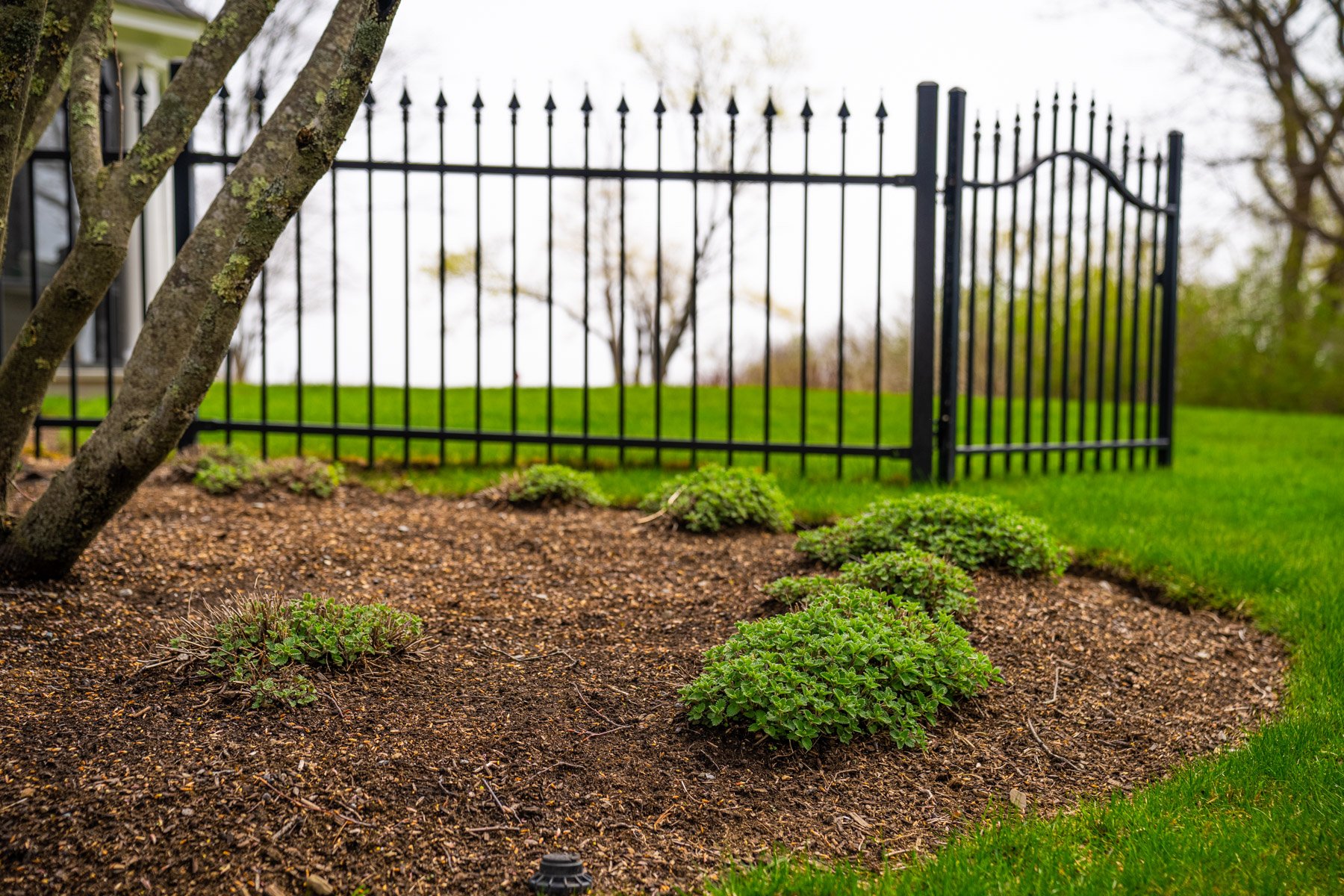 mulch borders work to reduce tick populations along wooded edges