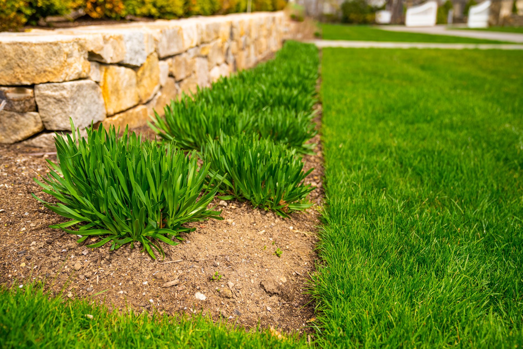 a tidy lawn and landscape to discourage pests