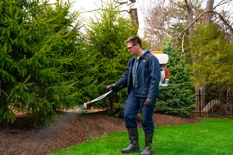 pest control tech spraying mosquito control on hot zones like trees and planting beds