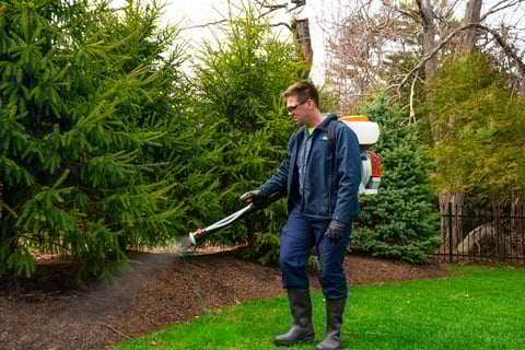 pest control technician spraying shrubs