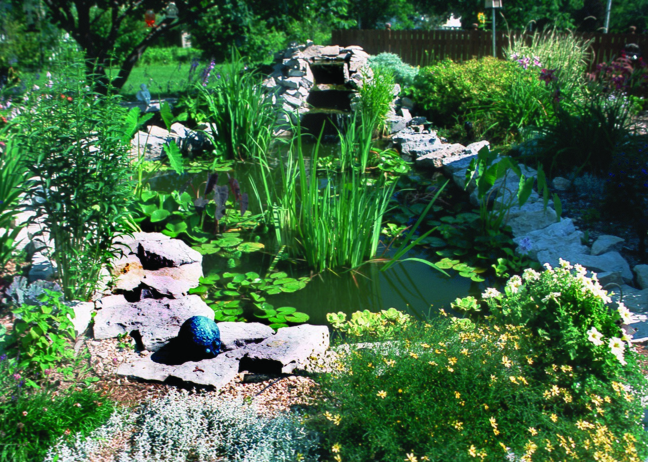 backyard water feature pond