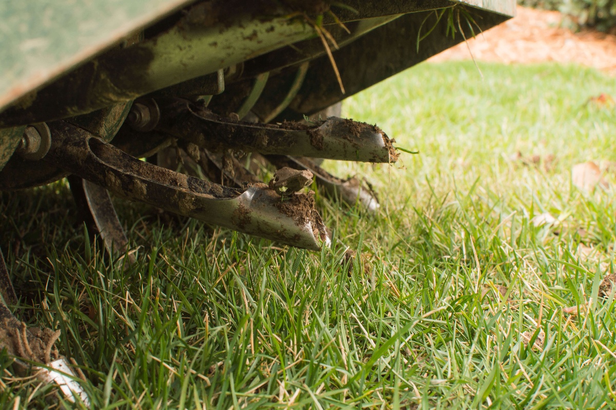 lawn aerator up close above grass