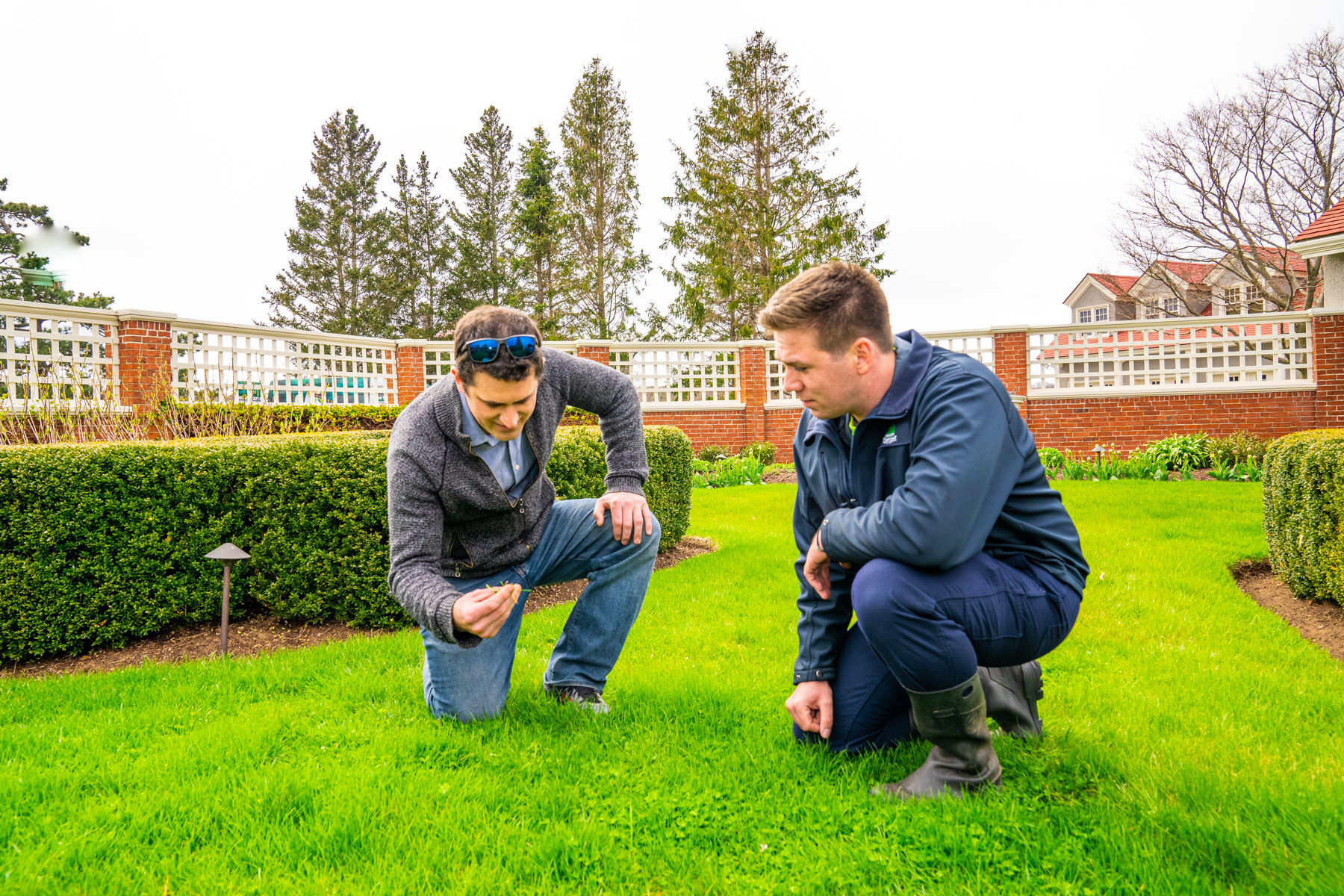 client and tech inspecting turf grass