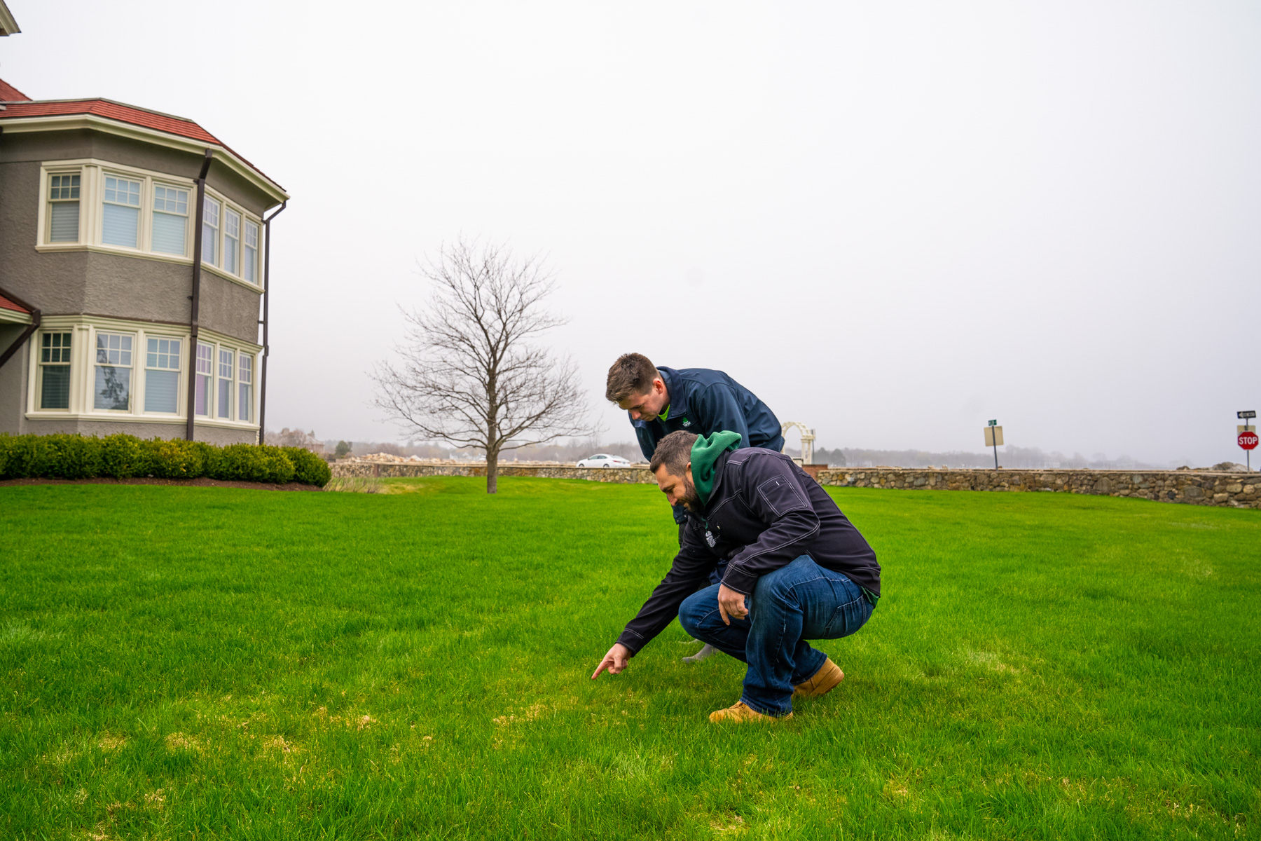 lawn care technicicans inspect grass