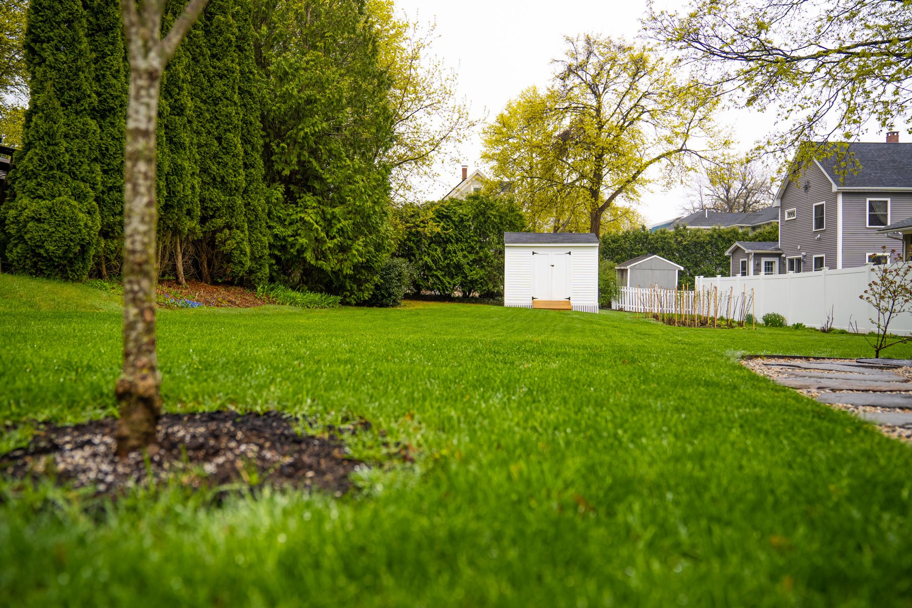 nice grass lawn house