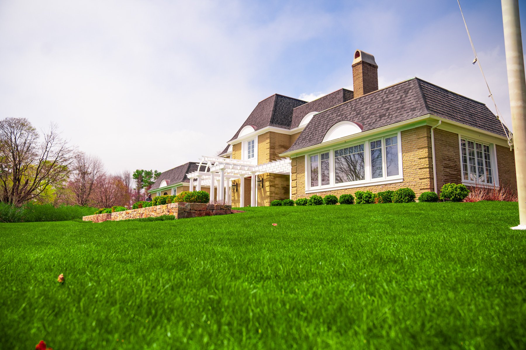 healthy grass in front of home