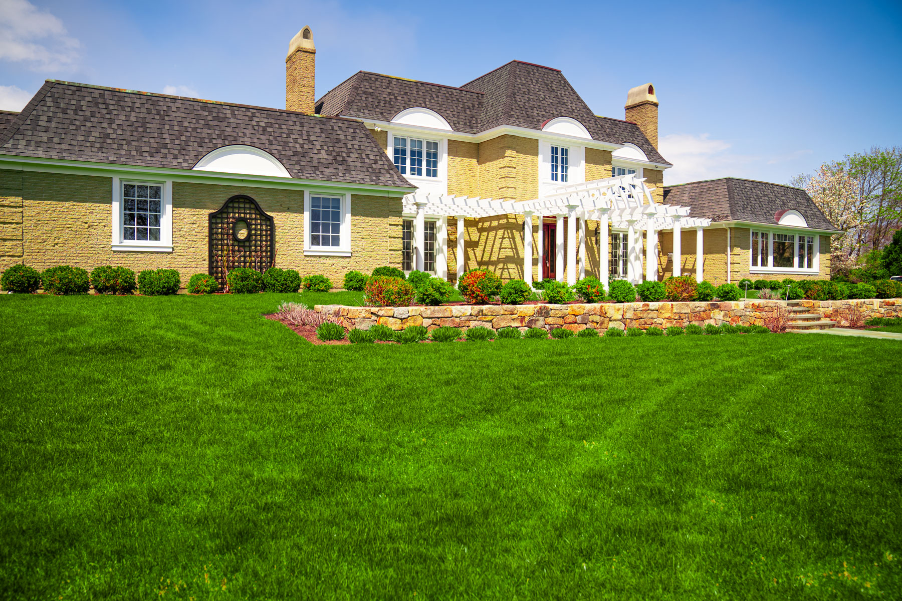 healthy green grass in NH lawn