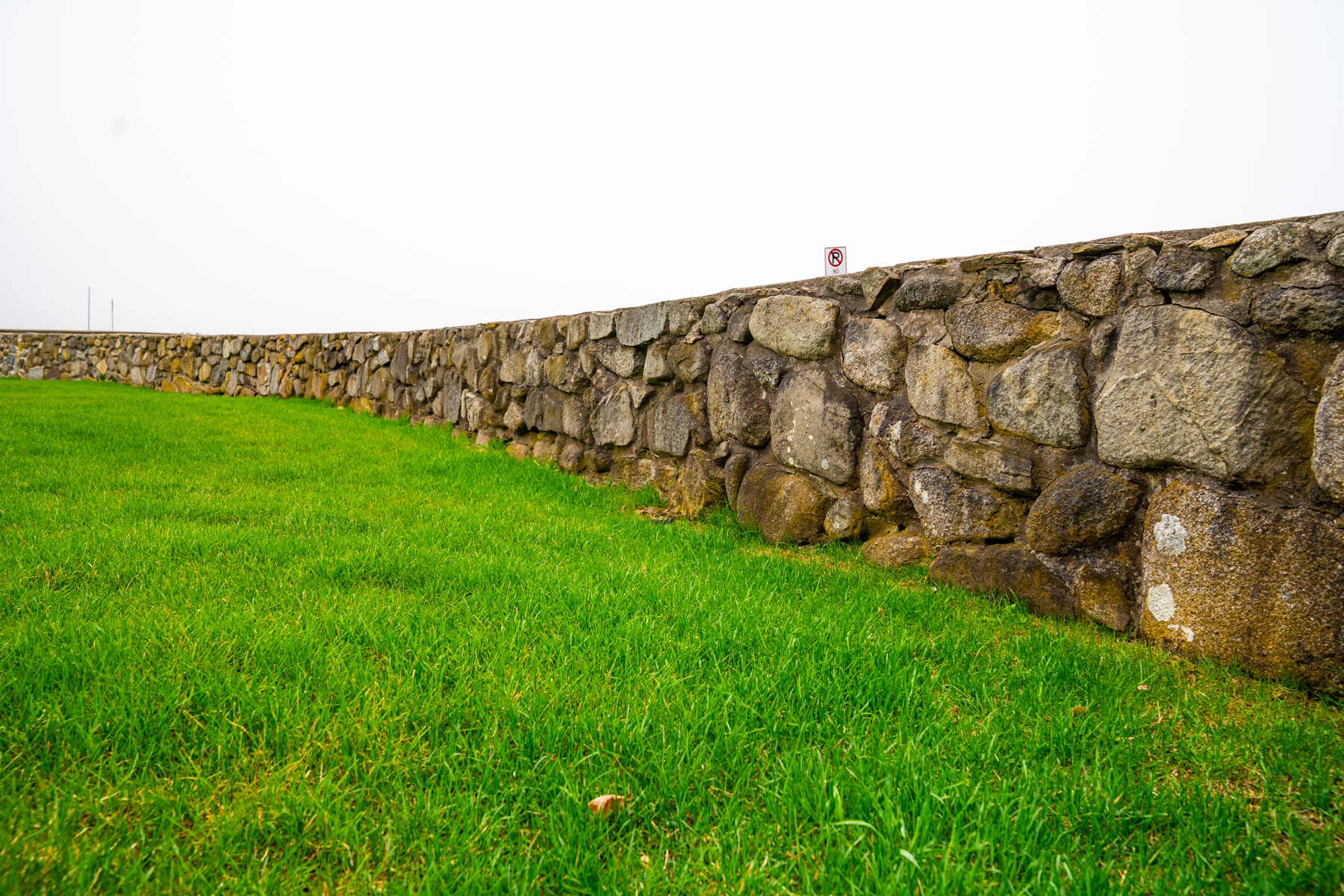 nice grass lawn wall 2