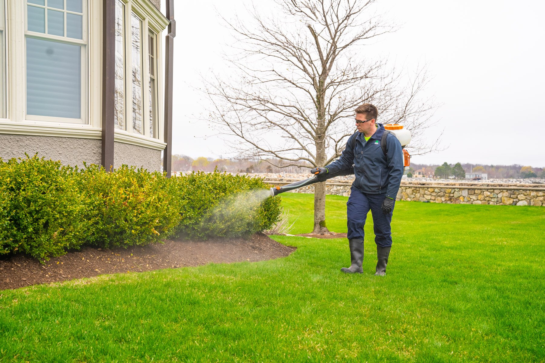 pest mosquito control technician spraying shrubs