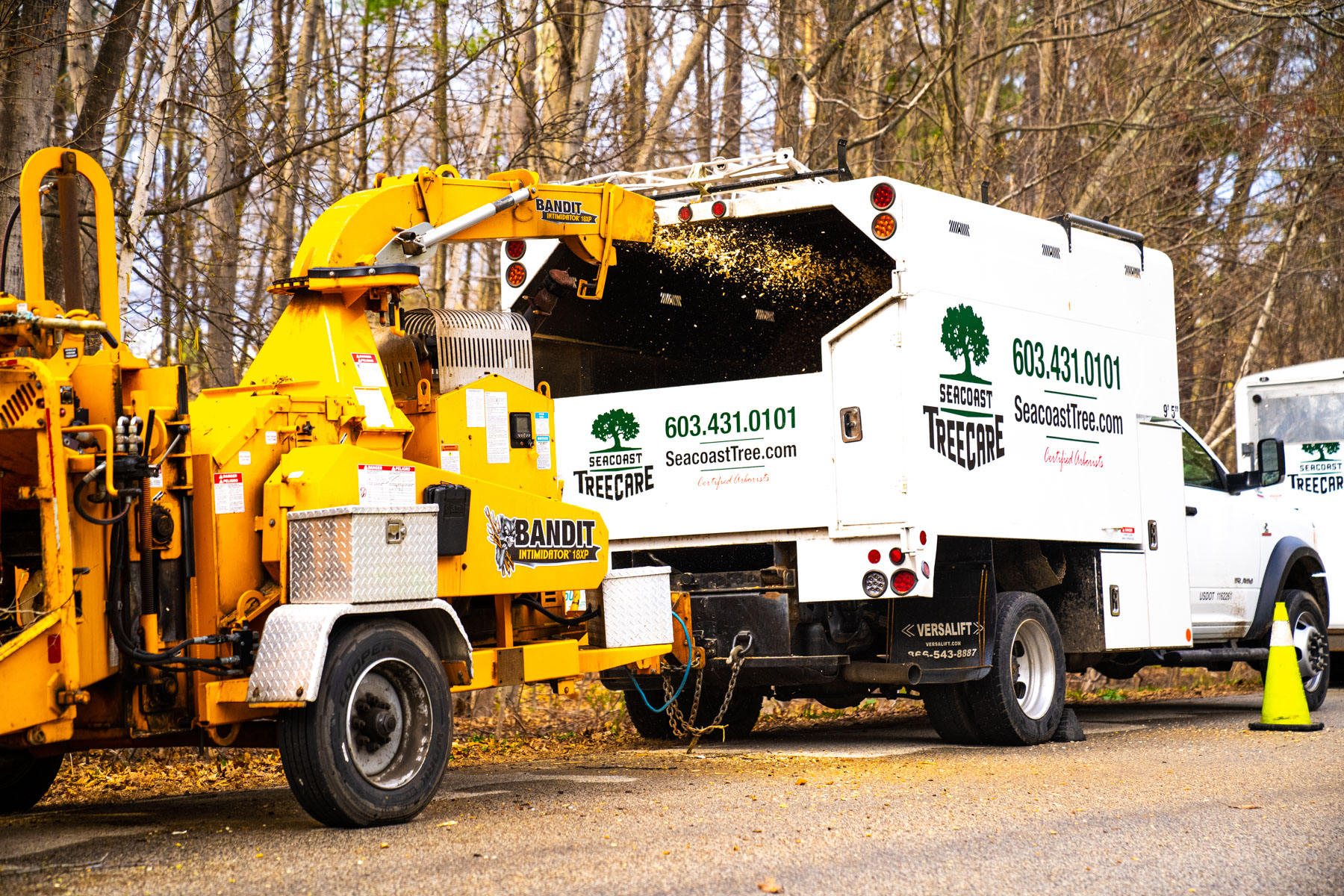 tree removal crew chipper truck